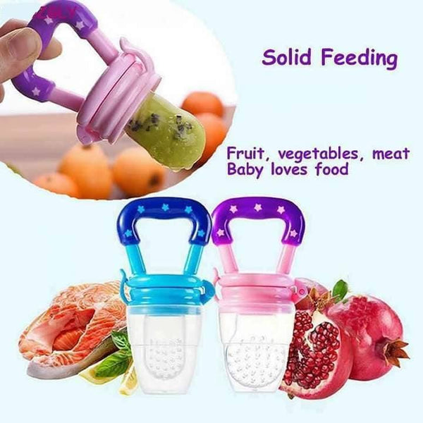 Fruit Feeder Pacifier