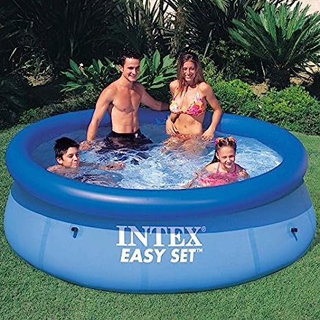 Intex 28120 Easy Set Pool 10 Ft