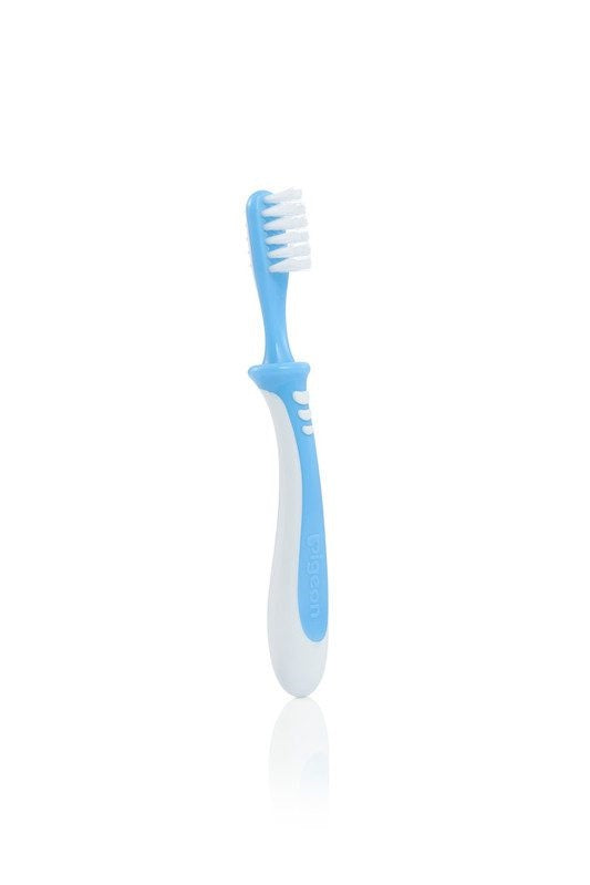 PigeonTraining Toothbrush Lesson 3 Blue-K78340-1