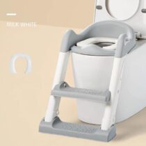 Toilet Ladder Potty Training Seat